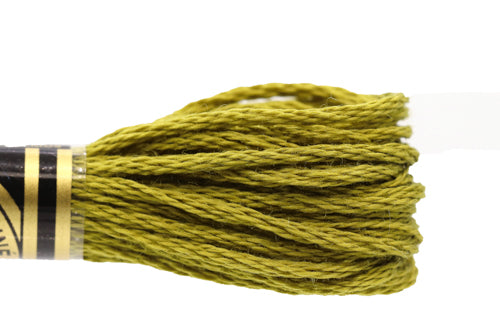 DMC Embroidery Floss - 0731 Bronzed Green