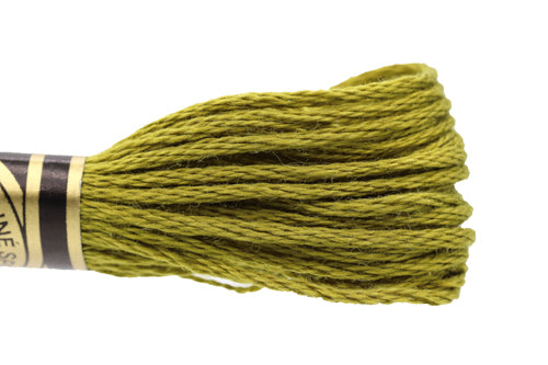 DMC Embroidery Floss - 0732 Light Bronzed Green