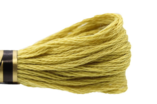 DMC Embroidery Floss - 0734 Broken Olive