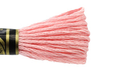 DMC Embroidery Floss - 0776 Medium Pink
