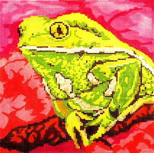 Barbara Russell Waxy Monkey Frog Needlepoint Canvas