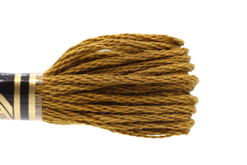 DMC Embroidery Floss - 0829 Star Anise