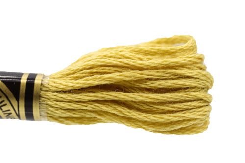 DMC Embroidery Floss - 0834 Dusty sunflower