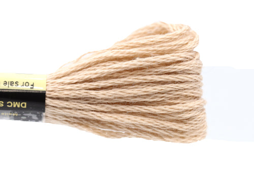 DMC Embroidery Floss - 0842 Beige Rope