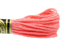 DMC Embroidery Floss - 0893 Dahlia