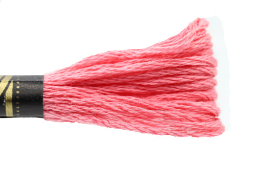 DMC Embroidery Floss - 0899 Watermelon