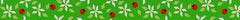 Susan Roberts Needlepoint Daisy n Ladybugs Dog Collar Needlepoint Canvas