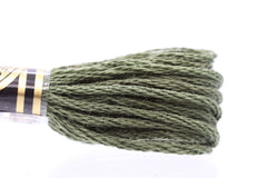 DMC Embroidery Floss - 0935 Undergrowth