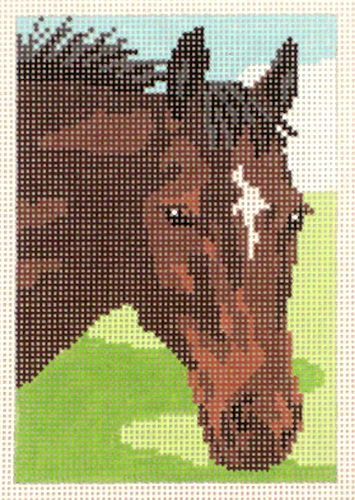 Barbara Russell Youth Collection: Horse Head Needlepoint Canvas