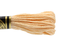 DMC Embroidery Floss - 0945 Champagne