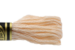 DMC Embroidery Floss - 0948 Himalayan Salt