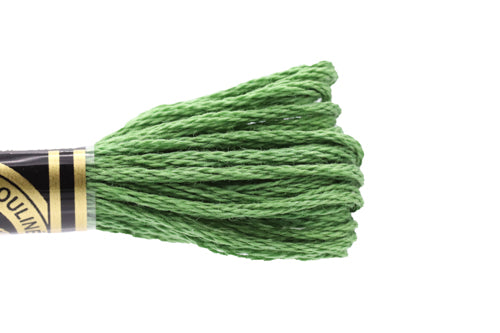 DMC Embroidery Floss - 0987 Basil