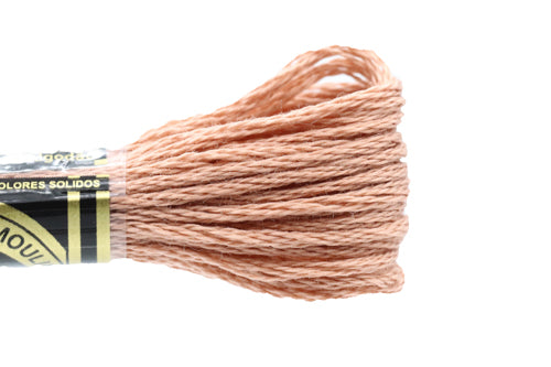 DMC Embroidery Floss - 3773 Desert Sand