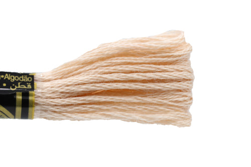 DMC Embroidery Floss - 3774 Linen