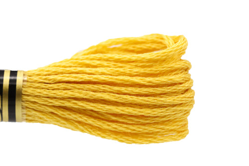 DMC Embroidery Floss - 3821 Mango