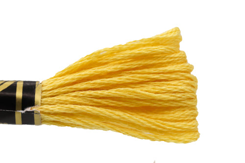 DMC Embroidery Floss - 3822 Corn Husk