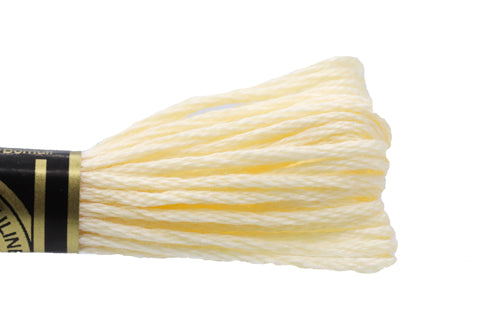 DMC Embroidery Floss - 3823 Moonshine