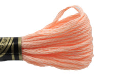 DMC Embroidery Floss - 3824 Strawberry Chew