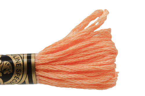 DMC Embroidery Floss - 3825 Muted Apricot