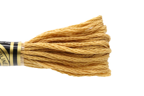 DMC Embroidery Floss - 3828 Oak