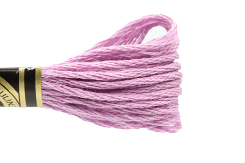 DMC Embroidery Floss - 3836 Thyme Flower