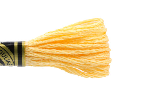 DMC Embroidery Floss - 3855 Desert Winds