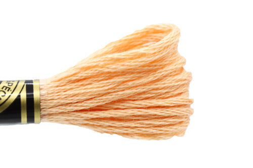 DMC Embroidery Floss - 3856 Buff