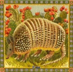 Melissa Shirley Designs Armadillo 18m Needlepoint Canvas