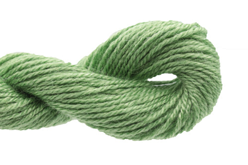 Caron Collection Impressions - 5013 Sage Green