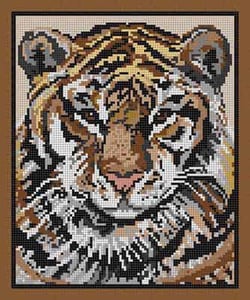 The Meredith Collection Treglown Designs Tiger in Brown Frame Needlepoint Canvas