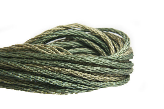 Weeks Dye Works Overdyed Floss - 1274 Terrapin