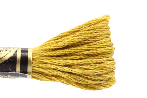 DMC Embroidery Floss - 0832 Modore