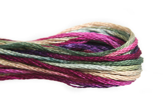 Weeks Dye Works Overdyed Floss - 4139 Bethlehem