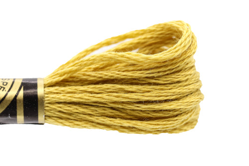 DMC Embroidery Floss - 0833 Brass