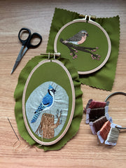 M Creative J Bluejay in the Woods Bird Embroidery Kit