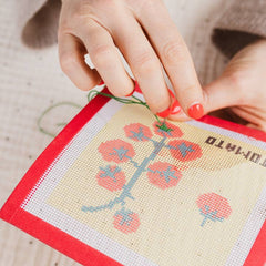 Cotton Clara Craft Kits & Supplies - Tomato Needlepoint Kit - Beginner Craft Kit