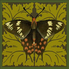 Melissa Shirley Designs Black Butterfly Needlepoint Canvas