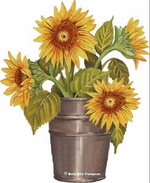 Melissa Shirley Designs Sunflower Pail Needlepoint Canvas