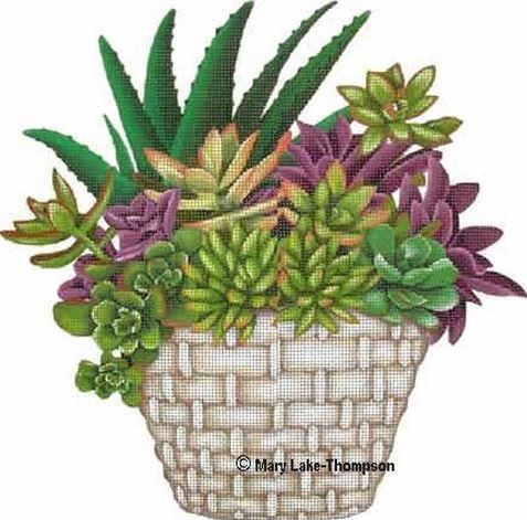 Melissa Shirley Designs Succulents Needlepoint Canvas
