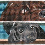 Barbara Russell Newfoundland Dog Belt Needlepoint Canvas