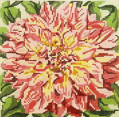 Needle Crossings Pink Tipped Dahlia 13m Needlepoint Canvas