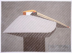 Charley Harper Pelican/Downpour Needlepoint Canvas
