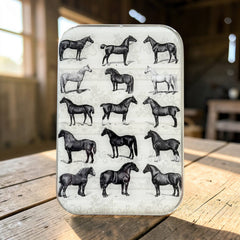 Firefly Notes Study of Horses Magnetic Notions Tin Needle Case
