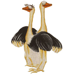 Rebecca Wood Designs Ostrich Pair with Black Feathers Needlepoint Canvas