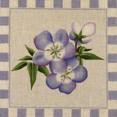 Rebecca Wood Designs Baby Blue Needlepoint Canvas