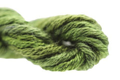 Gloriana Silk Floss - 160 Blythe Green