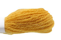 Appleton Hank