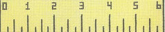 Cooper Oaks Design 6" Ruler 510A Needlepoint Canvas