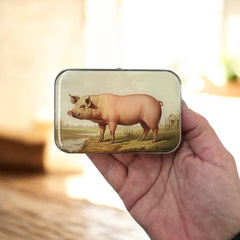 Firefly Notes Vintage Pig Magnetic Notions Tin Needle Case