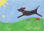 KCN Designers Black Lab Outside Needlepoint Canvas
